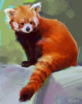 Explore the Best Red_panda Art | DeviantArt