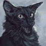 (Comm) crumpled whiskers