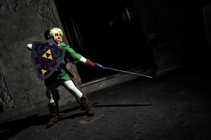 Link Zelda Cosplay