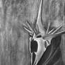 Witch-king of Angmar