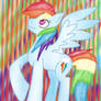 .: Rainbow Dash :.