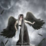 Black Angel