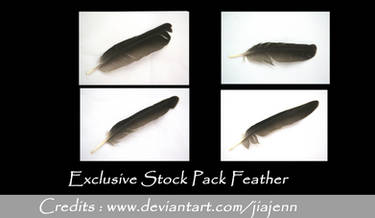 Black Feathers Stock EXCLUSIVE