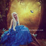 Dressed Blue Princess