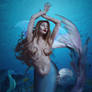 Mermaid 8