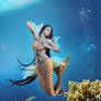 Mermaid 15 2