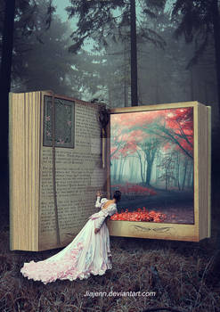 Mistery book
