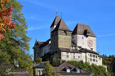 Chateau du Burgdorf