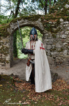 Templier Au Chateau des Clees