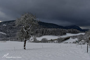 L'hiver est la 2