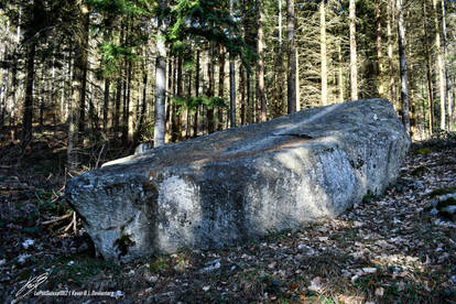 Pierre a Glissoire de Lignerolle 2