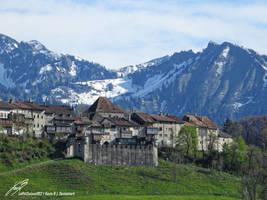 zoom sur la ville de Gruyeres