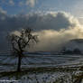 Fin de Journee d'hiver