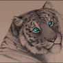 Tigerrrrr