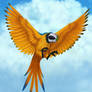 Amg a parrot