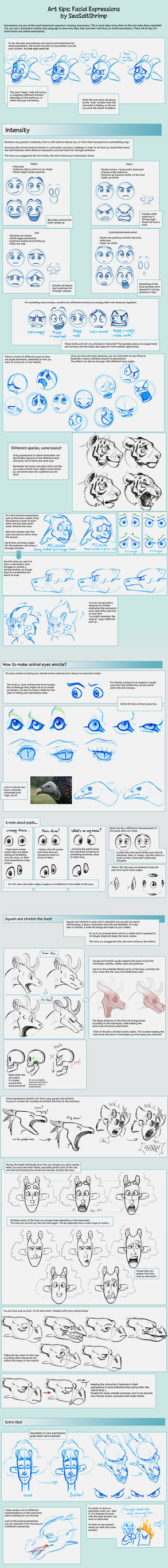 Art Tips on Facial Expressions