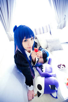 PSG-STOCKING