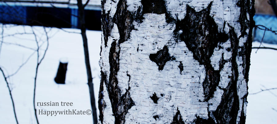 russian tree by HappyWithKate on DeviantArt