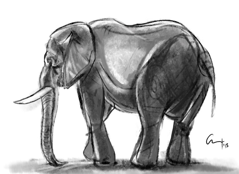 Elephant1