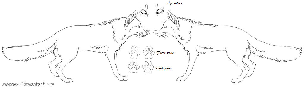 Fox reference sheet by FalconFountains on DeviantArt