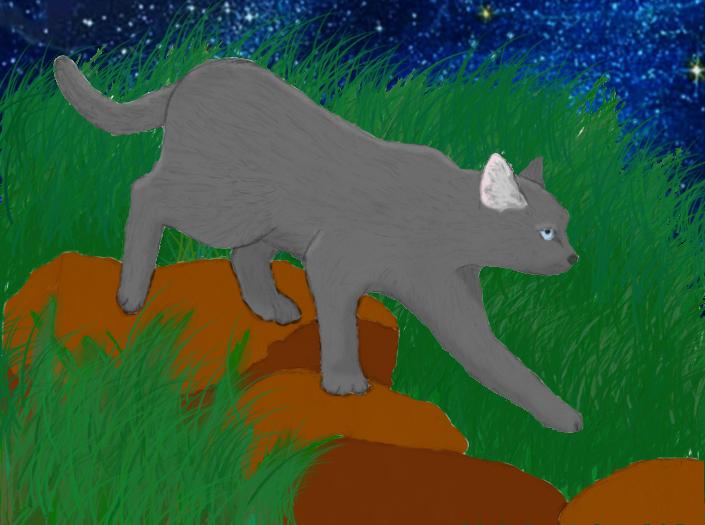 Jayfeather