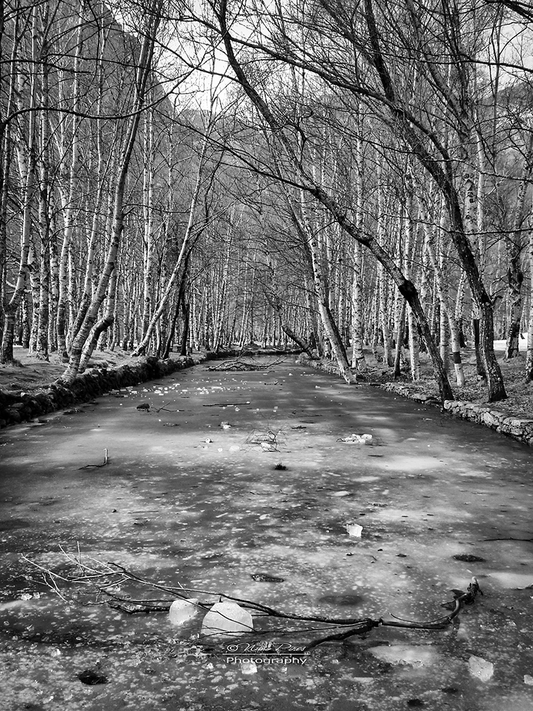 Frozen River - bw by NunoPires