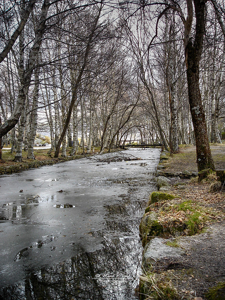 Iced Stream by NunoPires on DeviantArt