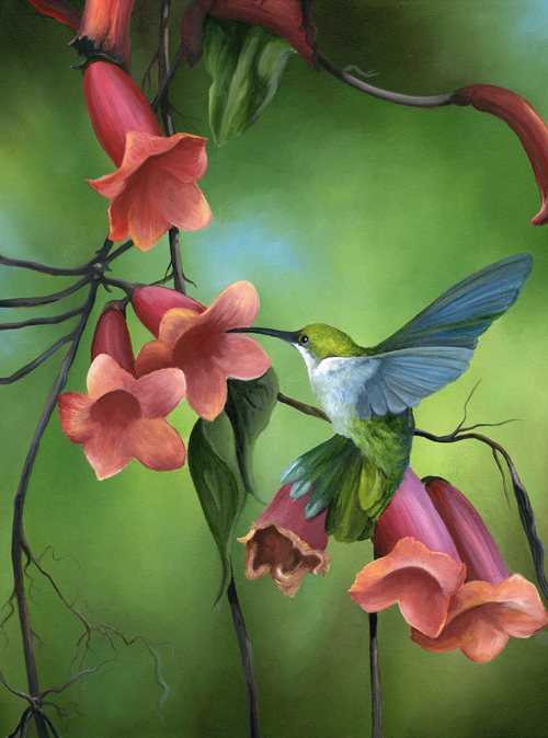 'Hummingbird'