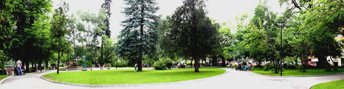 The Park