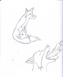 Fox Scribble