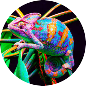 ashuri adoptable: chameleon (CLOSED) by hakiren on DeviantArt