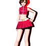 DTE Default Meiko