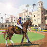 Missed Fortune Stakes