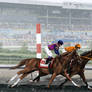Shepperton Handicap