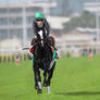 Morning Trackwork