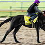 Kentucky Derby Extra