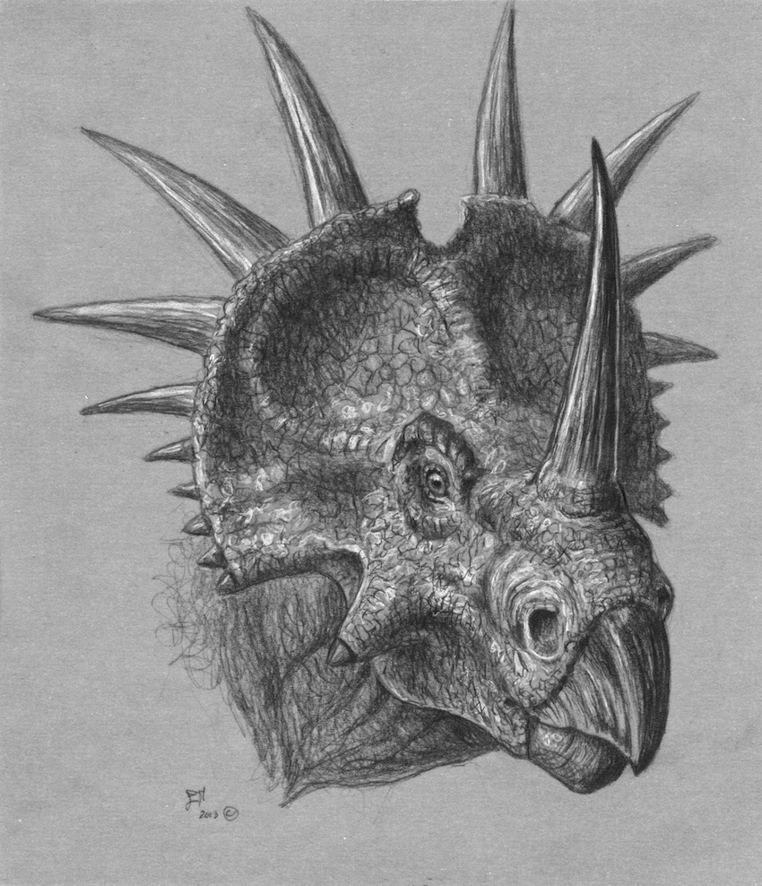 Styracosaurus