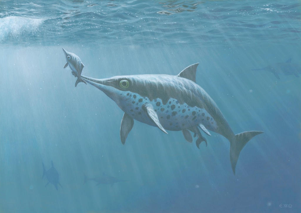 Inchthyosaur Ichthyosaur Birth by EsthervanHulsen on DeviantArt