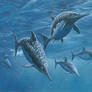 Ichthyosaur Group