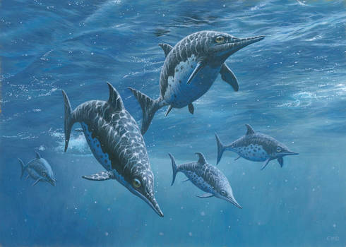 Ichthyosaur Group