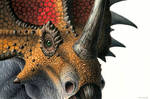 Styracosaurus