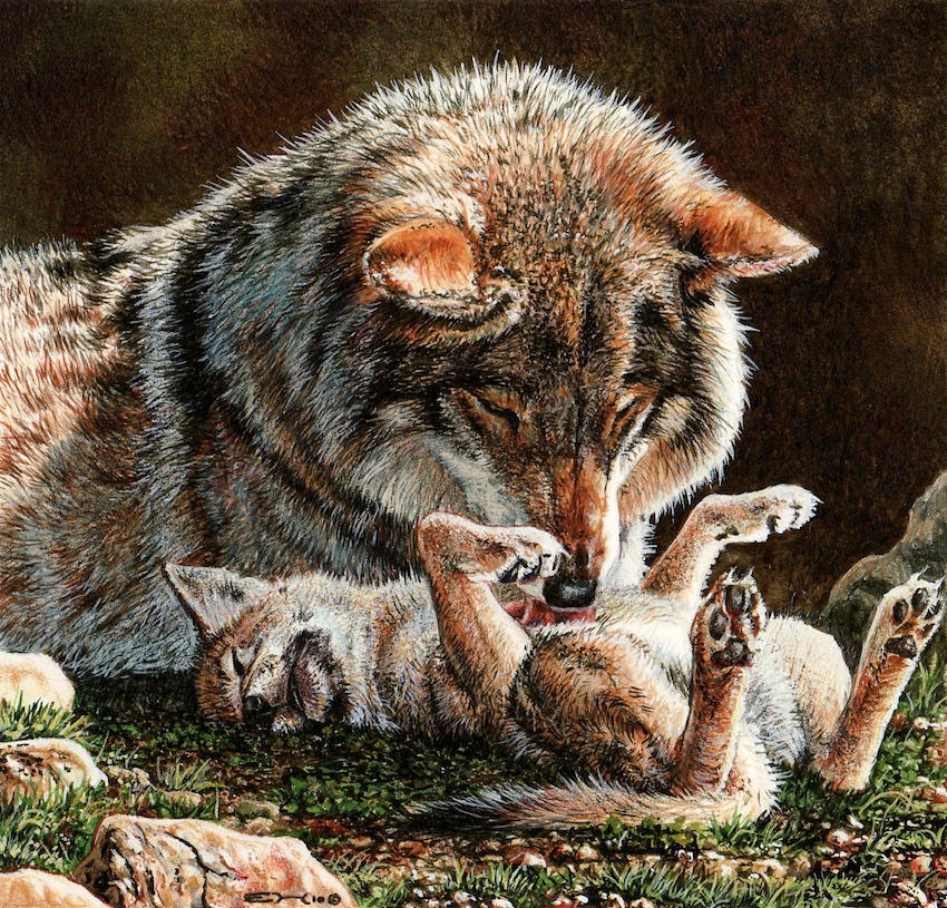 Wolf Mother and Pup by EsthervanHulsen Wolf Mother and Pup by EsthervanHulsen