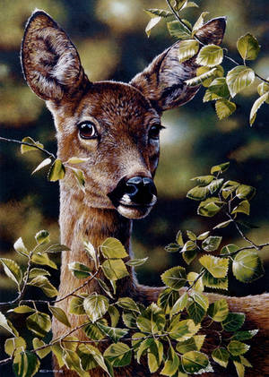 Deer Portrait by EsthervanHulsen