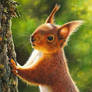 Red Squirrel Painting