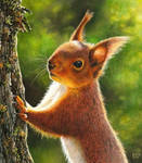 Red Squirrel Painting by EsthervanHulsen