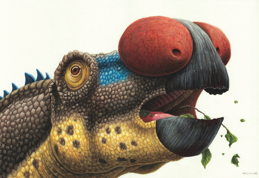 Muttataurus Muttaburrasaurus by EsthervanHulsen on DeviantArt
