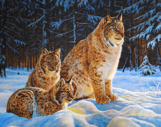 Eurasian Lynx painting