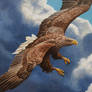 White-Tailed Eagle in acrylics