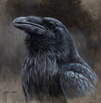 Raven Portrait by EsthervanHulsen