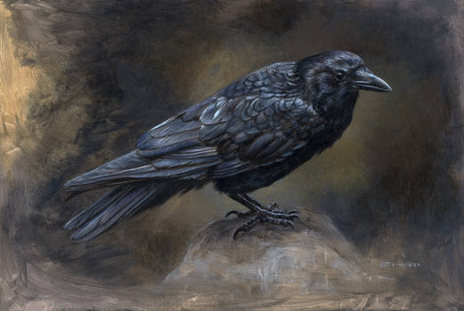 Black Crow in Acrylics